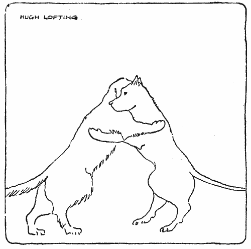 "The semi-final bout of a wrestling contest"