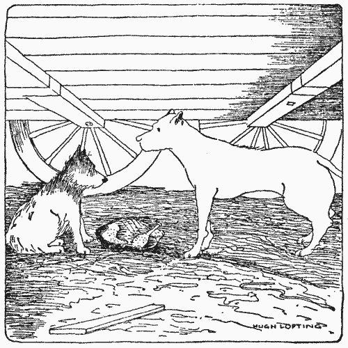 "Another time it would be a roast chicken"