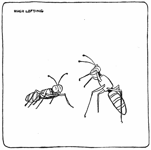 "'How do you know?' I asked"