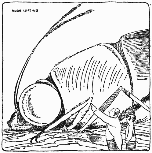 "'Wasn't that a tremor in the antenn&aelig;?'"