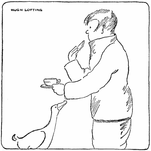 "I took the cup of tea and piece of toast that Dab-Dab offered me"