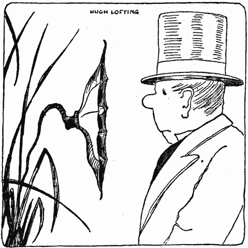 "The flowers would be about eighteen inches across"