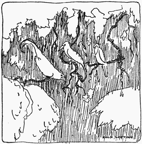 "There was no doubt that they were on the watch"