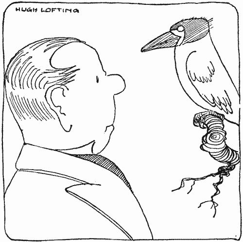 "The bird was introduced to the Doctor"