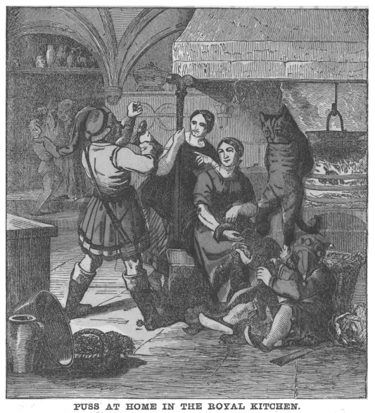 Puss at home in the Royal kitchen.