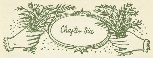 Chapter Six
