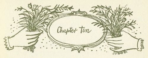 Chapter Ten