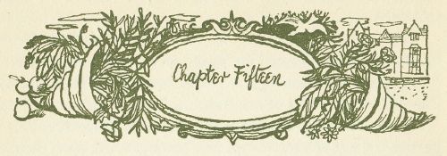 Chapter Fifteen