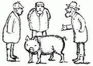 discussion of a hog