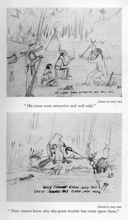 His yarns were attractive and well told."  <I>Sketch by Grey Owl.