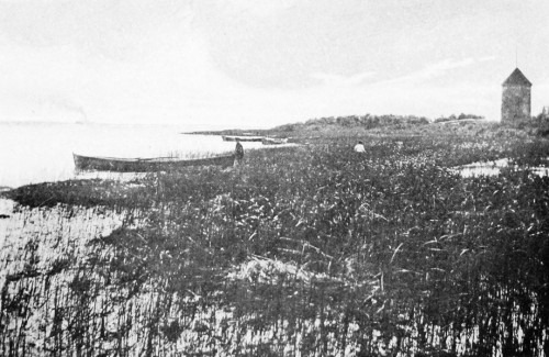 Near the head of tide-water above Three Rivers