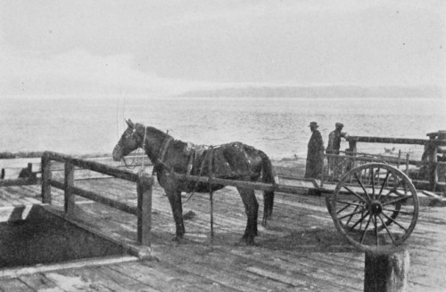 The Isle of Hazels as seen from Les Eboulements