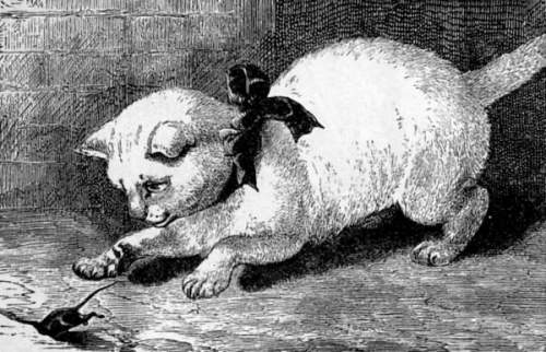 Cat pouncing on a mouse.