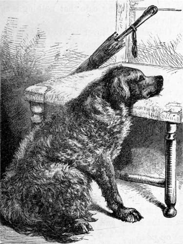 Dog sitting by a chair.