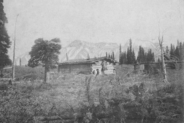 The lonely waif of the wood-camp.