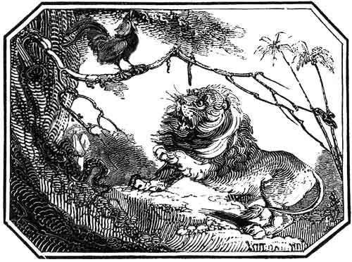 THE
    PEACOCK AND HIS FELLOW TRAVELLERS.